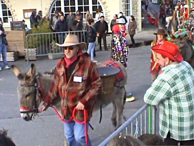 carnaval 2013 (220).jpg